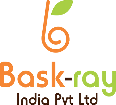 Bask Ray logo